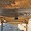 #45428-•-chamberlin-40'-t/a-hopper-bottom-trailer-inv#-45428-image-28