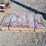 #l85-066-•-landhonor-5400-lbs-g70-chains-&-binders-image-3