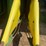 2015-john-deere-cp690-image-66