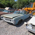 redwood-county-truck-&-car-auction-2-day-event---day-1-image-1