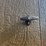 new-4'-x-4'-shooting-house-with-stand-image-7