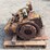 caterpillar-22-image-4