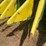 2015-john-deere-cp690-image-79