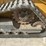 2023-deere-317g-image-9