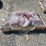 #l85-063-•-landhonor-9200-lbs-g70-chains-&-binders-image-1