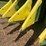 2015-john-deere-cp690-image-80