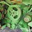 1975-john-deere-3300-image-14