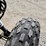 #26514-•-2017-polaris-outlaw-110-efi-image-13