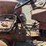 international-240-image-16