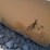 #l85-078-•-landhonor-6'x8'-metal-shed-[damaged-box]-image-9