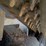 2022-bobcat-t66-image-50