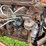 ford-jubilee-image-22