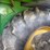 2015-john-deere-cp690-image-15