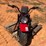 2023-coleman-motorcycle-image-8