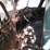 chevrolet-3100-image-5