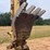 1998-caterpillar-312b-image-15