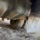 2012-ford-f350-image-11