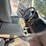 2002-ford-explorer-xlt-image-38