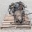 ford-6-image-12