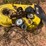 john-deere-x350-image-20
