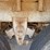 #45428-•-chamberlin-40'-t/a-hopper-bottom-trailer-inv#-45428-image-13