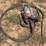 northrock-electric-concrete-vibrator-w/flex-shaft-image-1