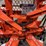 2026-topcat-ecssrb-tree-shear-image-7