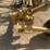 vermeer-v-rake-image-9