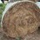17-grass-round-bales-image-3