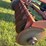 krause-6161-image-51