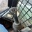 bobcat-t750-image-21