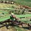 john-deere-4-bottom-plow-image-12