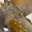 caterpillar-988-image-58