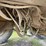 caterpillar-785b-image-43