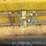 caterpillar-d9r-image-26