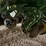 john-deere-1775-image-31
