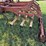 krause-6161-image-20