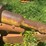 caterpillar-d9r-image-38