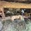 #2923-•-2002-stoughton-avm-485t-s-c-ar-walking-floor-trailer-image-19
