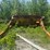caterpillar-d9r-image-52