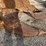 caterpillar-446b-image-2