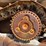 caterpillar-d9r-image-84