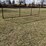 qty-(1)-24'-free-standing-pipe-fence-panel-image-2