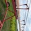 feterl-12”-x-81ft-auger-image-16