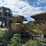 caterpillar-785b-image-3
