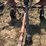 new-holland-540-image-1