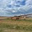 #2926-•-feterl-grain-auger-image-2