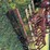 krause-6161-image-22