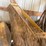 #2914-•-tile-plow-image-7