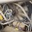 2013-tigercat-ls855c-image-41